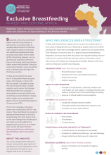 Research Brief